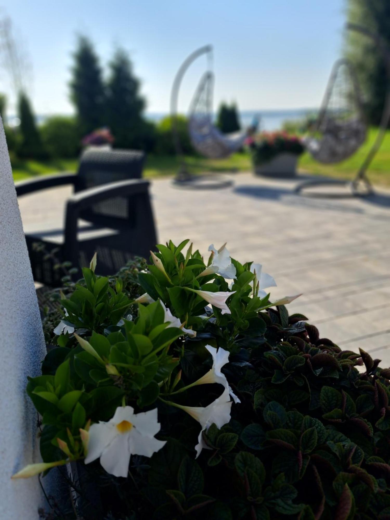 Solek Apartamenty I Pokoje Goscinne Mielno  Exterior foto